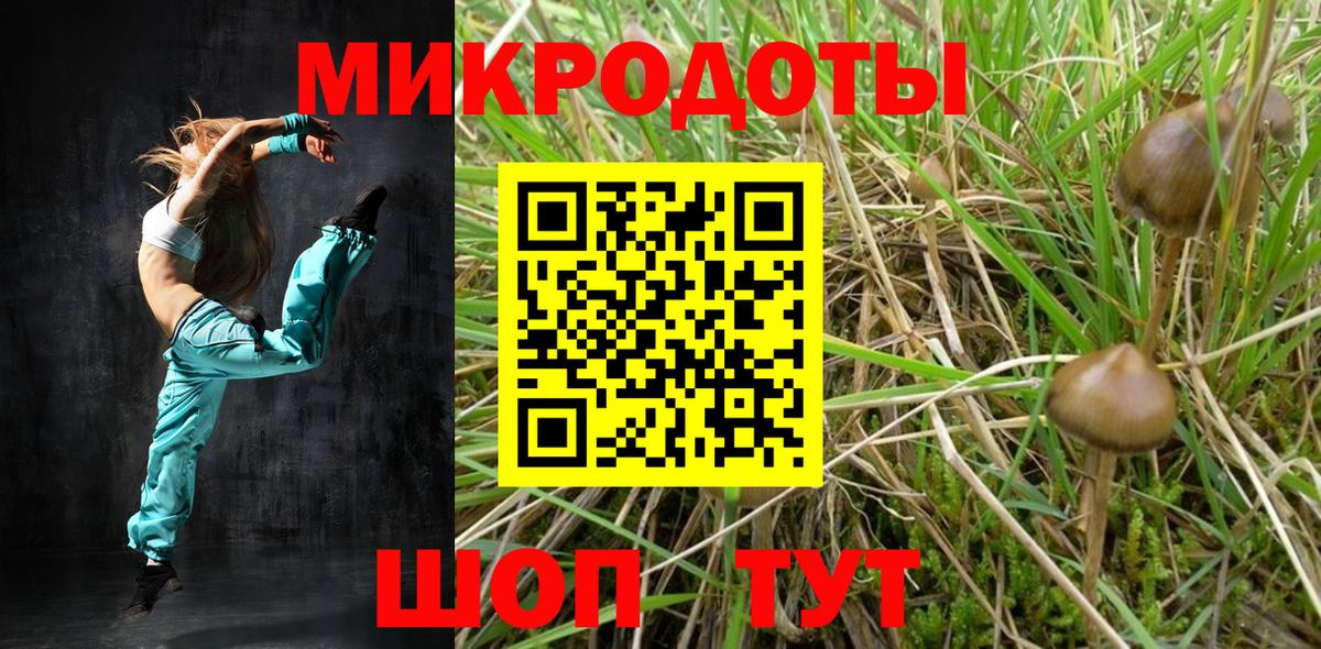 Дзержинск  Галлюциногенные грибы ЛСД  Вход с VPN 