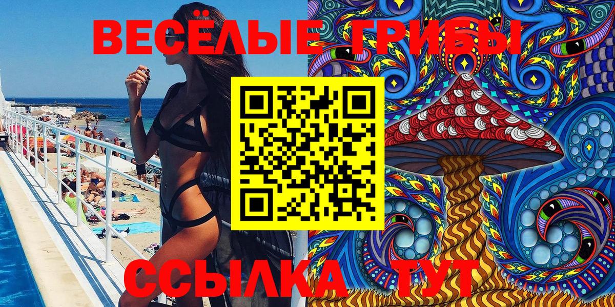 Псилоцибиновые грибы мицелий Дзержинск